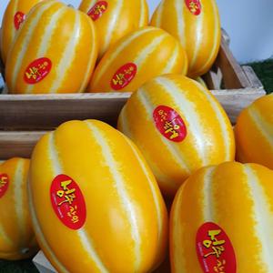 햇 꿀벌 성주 첫물 참외 실속형 1kg 소꼬마