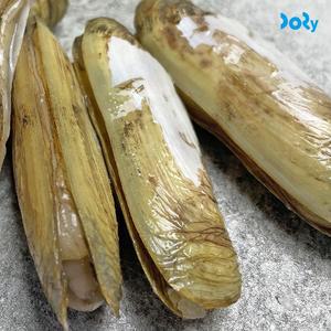 [맛도리] 산소포장 국내산 별미 별량 맛조개 1kg (30-40미 내외)
