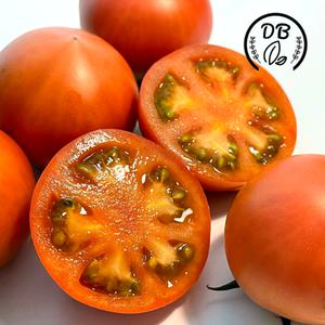 예천 돌토마토 제철과일 산지직송 가정용 3kg 5kg