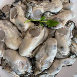 일등푸드 통영 최상급 깐생굴1kg(왕큰굴)