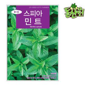 스피아민트씨앗 2000립 허브씨앗 민트종자 텃밭채소