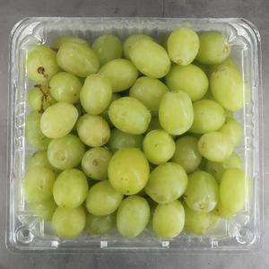 실속형_고당도 애플청포도(낱알팩) 1/2/3kg