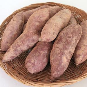 [다농이네]해남 꿀 밤고구마 5kg 대