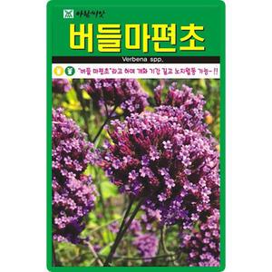 아람종묘 버들마편초 씨앗 200립 숙근 버베나 꽃씨 야생화 종자
