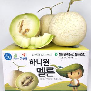 프리미엄 고당도 하니원 멜론 특대과/대과 4kg내외