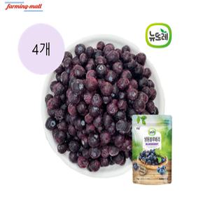 [보금푸드] 뉴뜨레 냉동 블루베리 미국산  1kg x 4개