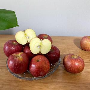 [ 애플리아 ] 24년 햇 못난이사과 3.5kg( 16∼18과 ) / 국내산 부사