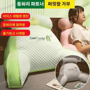 아이스 테릴렌 다기능 허리 1 하스키 사무실 쿨링아이스빈도트쿠션 보호 등받이