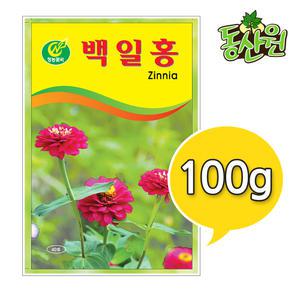 대용량 꽃씨 백일홍씨앗 100g 백일홍꽃씨앗 조경용 종자