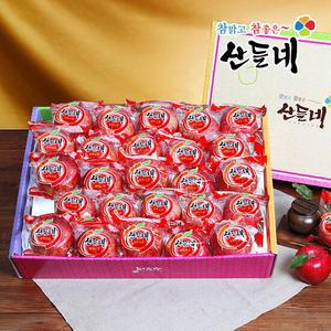 세척사과 5kg 25과내
