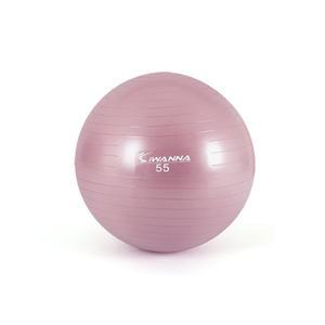 IW 안티버스트 짐볼 55cm + 에어펌프