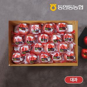 [자연맛남]동안동농협 고당도 정품 세척 사과 5kg (19과내)