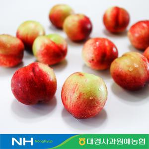 [대경사과농협]경북 신비복숭아 1kg 2kg 구성 산지직송