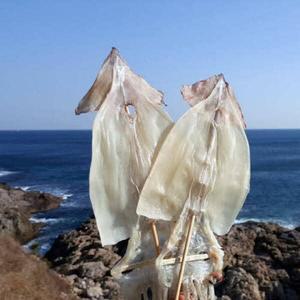 부드러운 마른오징어 10마리 500g