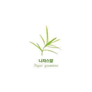 나자스말(1촉)구피 치어 새우 은신처 토종수초