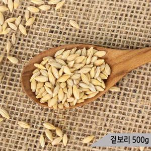건강알곡 겉보리 500g 모이 간식 사료 앵무새 햄스터