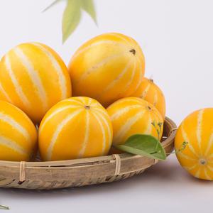성주참외 못난이 꼬마/소과 2kg 10-20과 꿀참외