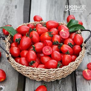 생글탱글 장보남 대추방울토마토 2kg 5kg 무료배송