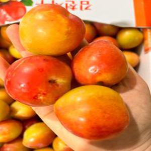 경북 김천 꿀 대석 자두 300g 600g 900g 1kg