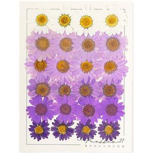 프레스코21 압화 꽃송이 마가렛 혼합(겨울쿨톤) 24p