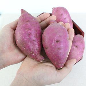 [팔도농장] 세척 꿀 밤고구마 (상)3kg