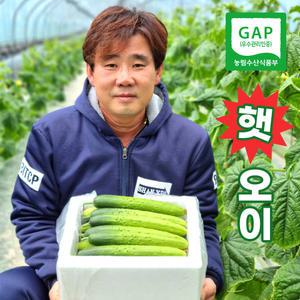 바른농원 백다다기 오이 50개입