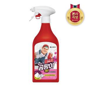 [엘지생활건강]홈스타 뿌리는 곰팡이 싹 500ml
