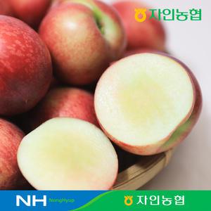 [경산자인농협] 옹골찬 신비복숭아 2kg 중과 대과