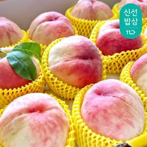 [품질보장] 영덕 딱딱이복숭아 3.5kg 내외 ( 경봉 딱딱한 딱 복숭아 단단한 아삭이 딱복 백도 딱딱 )