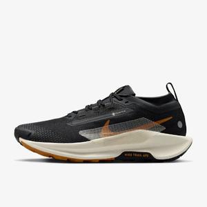 [나이키] 페가수스 트레일 5 GORE-TEX FQ0908-007