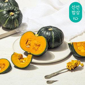 [품질보장] 제주 미니밤호박 보우짱 로얄과 3kg 5-11과 / 포슬포슬한 식감