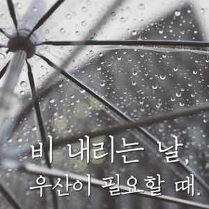 [오피스스쿨] 우산모음 투명우산(비닐) / 땡땡이우산 (투명 / 반투명) / 우산스티커 교통안전