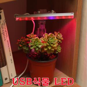 식물LED USB 5V용 식물조명 LED 다육이재배