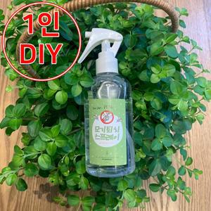 1인 DIY 200ml 여름 스프레이 만들기 키트 시트로넬라