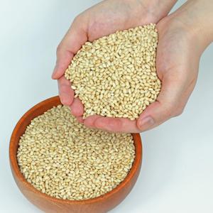 국내산 무농약 유기농 24년산 햇 잡곡 찰현미 1kg