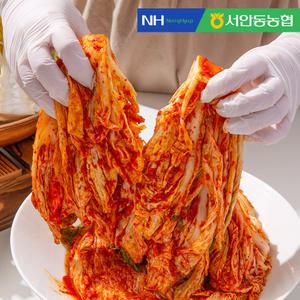 (HACCP 인증)서안동농협 풍산김치 포기김치 10kg (대용량)