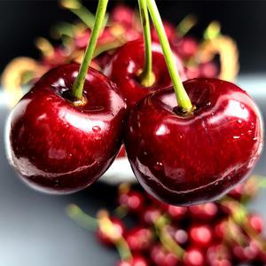 최상급 프리미엄 고당도 생체리 500g 왕체리