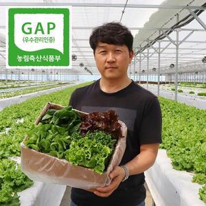 [농부들의수확][GAP인증/품질보장] 수경재배 유럽샐러드 상추 모듬쌈채소 1kg (4-6종) 당일수확 무료배송