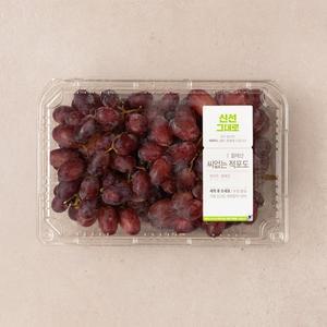 [칠레산] 씨없는 적포도 (700g)