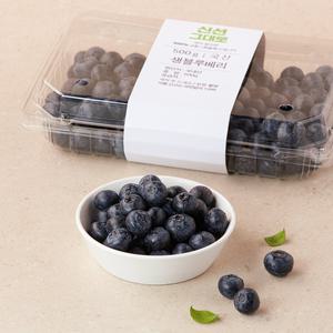 국내산 블루베리 500g 팩