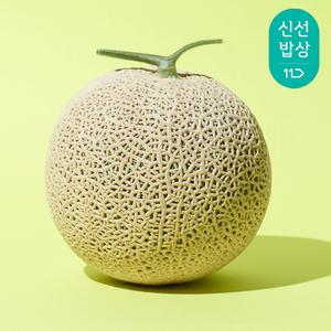 [달콤트리] 프리미엄 왕 머스크멜론2.6kg*1입 총2.6kg내외