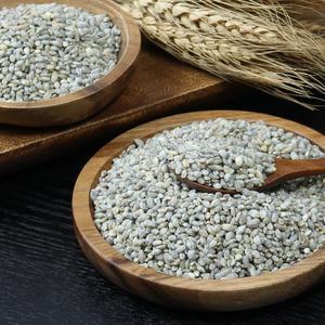 (25년산) 정읍농부 김대중의 청보리 1kg