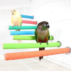 파스텔 갓성비 앵무새 횃대 지름 1.5cm / 길이 20cm