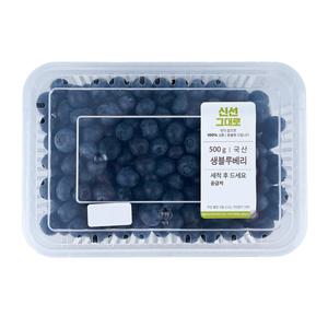 국산 블루베리 500g 팩
