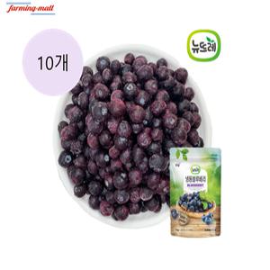 [보금푸드] 뉴뜨레 냉동 블루베리 미국산 1kg x 10개
