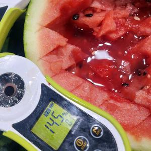 14브릭스 음성 수박 4kg 고당도 수박 한통 중동수박 6월수박 고랭지수박 하우스수박 맛있는수박 꿀수박