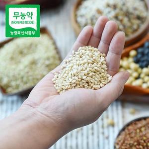 [친환경팔도][산지직송] 산청 무농약 찰현미 5kg