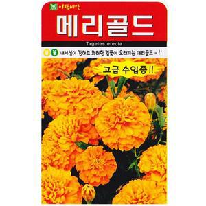 [기타]메리골드씨앗 20립 오렌지꽃
