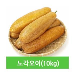 싱싱한 노각오이10kg 늙은오이 싱싱지오