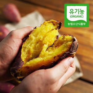 [유기농] 24년수확 해남 황토 밤고구마 5kg(대)